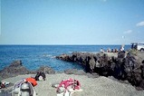 伊豆大島-秋の浜