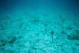 この海底にあるのは何?