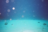 砂地には何かが潜んでいる(はず・・)2