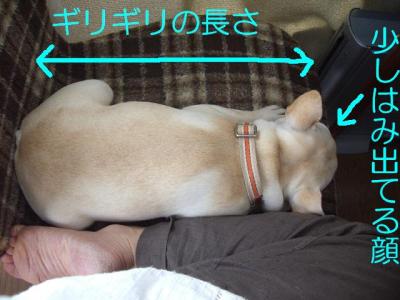 の7