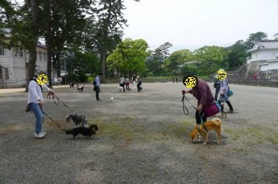 od27_convert_20120520171515.jpg