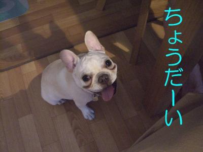パーテイ3