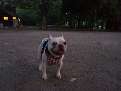 fc2blog_201208040912371df.jpg