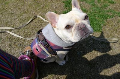 kiso7_convert_20120320091737.jpg