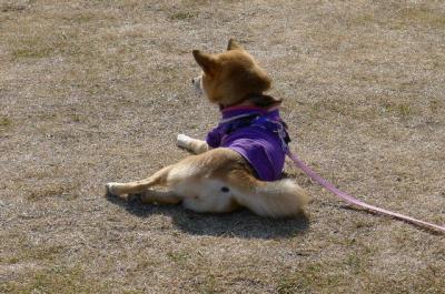 2011012212.jpg