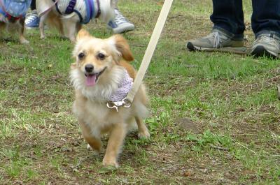 m19_convert_20120526202349.jpg
