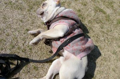 20112265.jpg