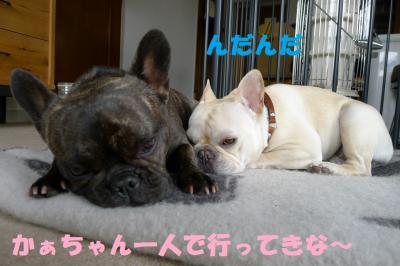kon11_convert_20120124112037.jpg