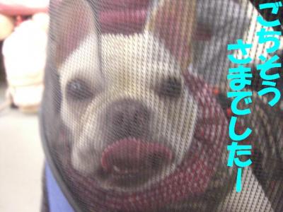 さ9