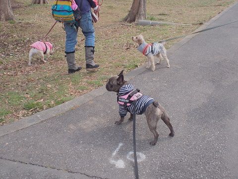 mizu15_20140220193051f96.jpg