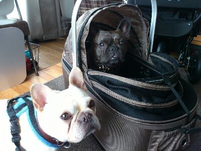 fc2blog_20120622215208dd0.jpg