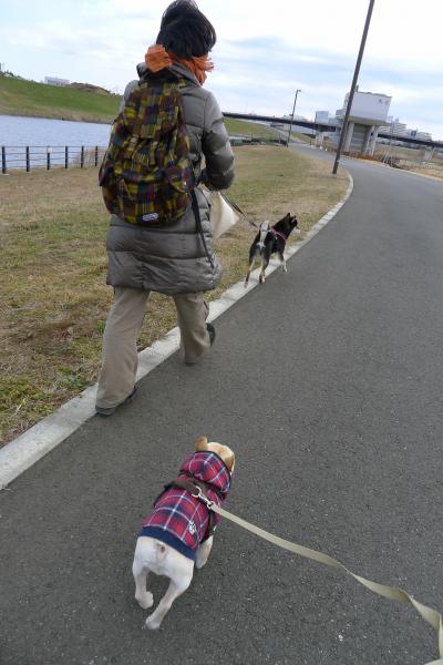 yoko5_convert_20120129145518.jpg