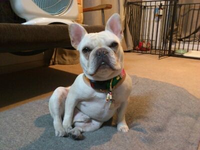fc2blog_20120520224725d27.jpg