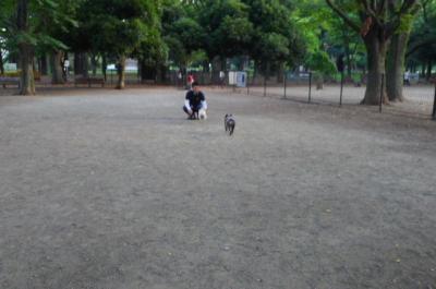 j7_convert_20120804094602.jpg