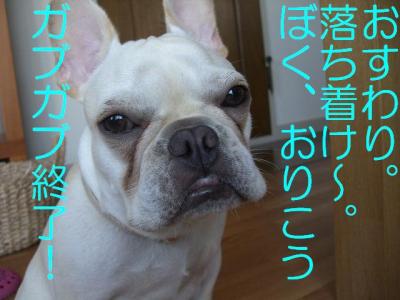 憎めない2