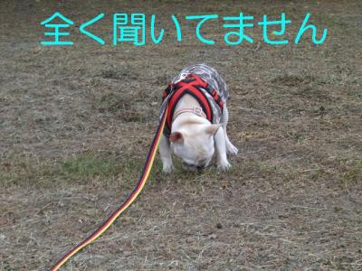 散トレ7
