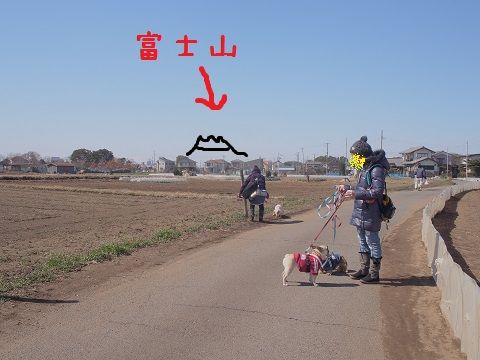 31bu12.jpg