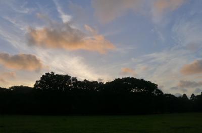 j3_convert_20120804094500.jpg