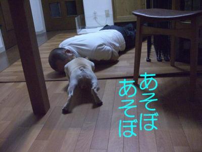 拓2