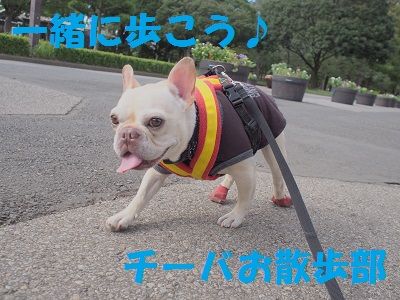 部活3