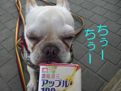 散トレ14