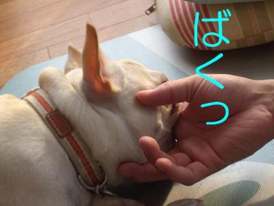 拓7