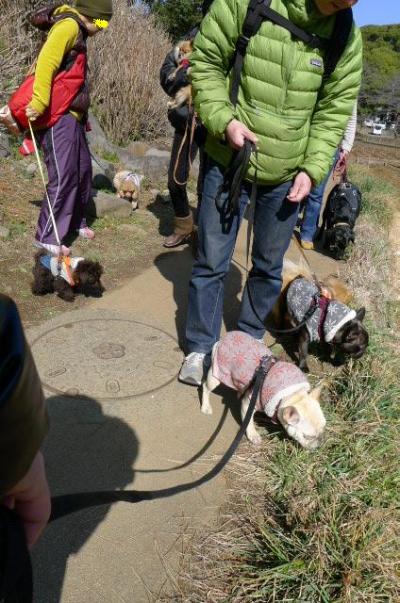 20112262.jpg