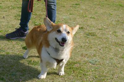 j27_convert_20120421214905.jpg