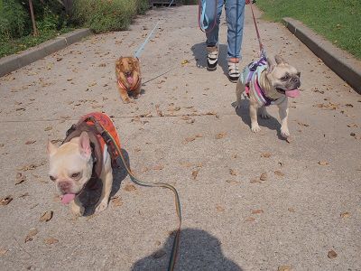 asa18_20130922112350743.jpg