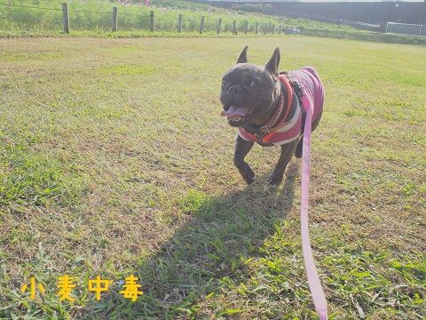c5_20141026201242aa8.jpg