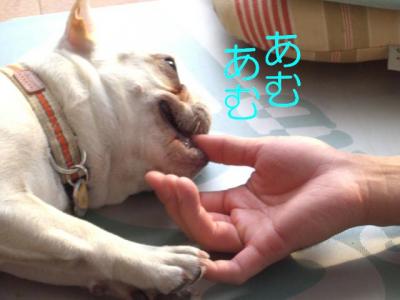 拓6