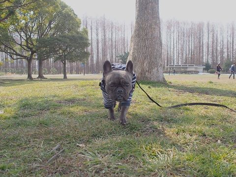 mizu8_201402201929145db.jpg