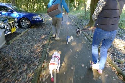 o3_20121118211824.jpg