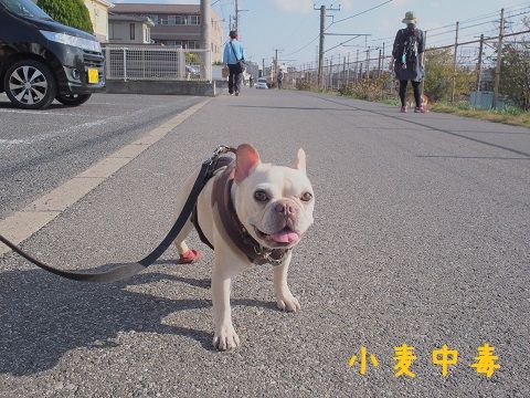 n2_20141124134142b53.jpg
