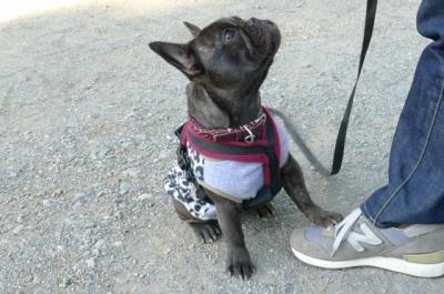 2011012210.jpg