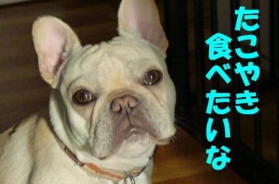 omiya7.jpg