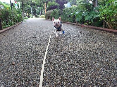 fc2blog_20120721194224e4e.jpg