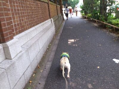 fc2blog_20120725132432309.jpg