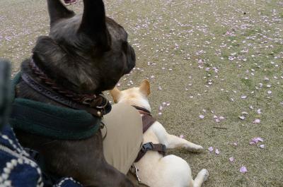 j8_convert_20120421213523.jpg