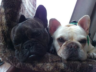fc2blog_201205202256106f1.jpg