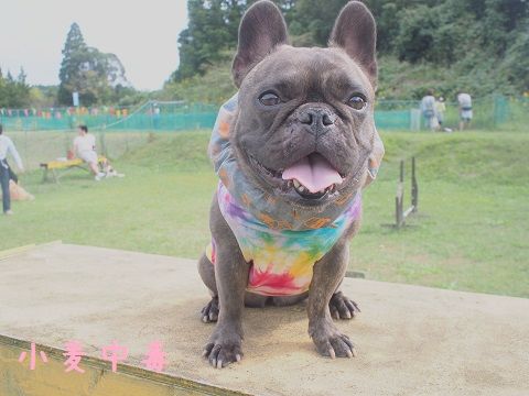 s1_20141012191130a3d.jpg