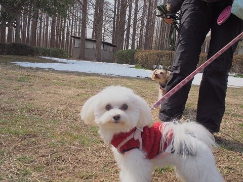 mizu5_201402201928083b8.jpg