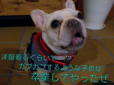 fc2blog_20121025235412ec4.jpg