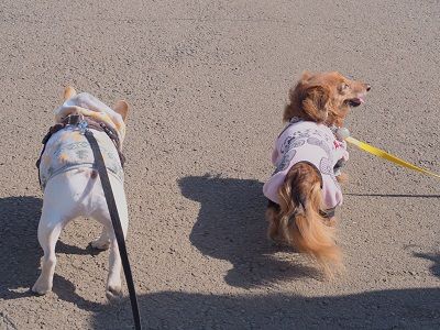o17_20130221200420.jpg