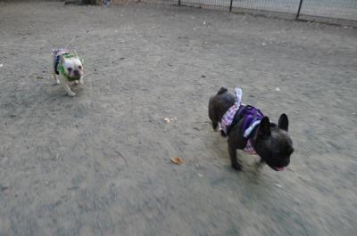 j13_convert_20120804094745.jpg