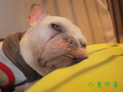 ぴ1