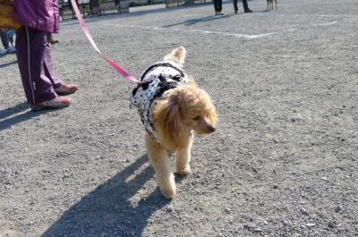 201101225.jpg