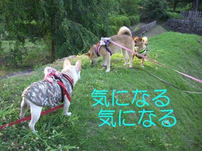 お