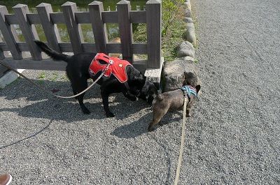 ok10_20121030192555.jpg