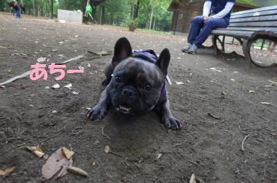 j9_convert_20120804094631.jpg